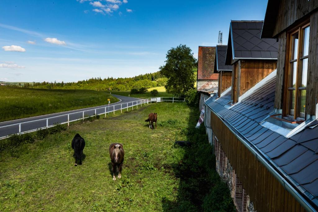Fotografie z fotogalerie ubytování Penzion Dvůr Krasíkov v destinaci Kokašice
