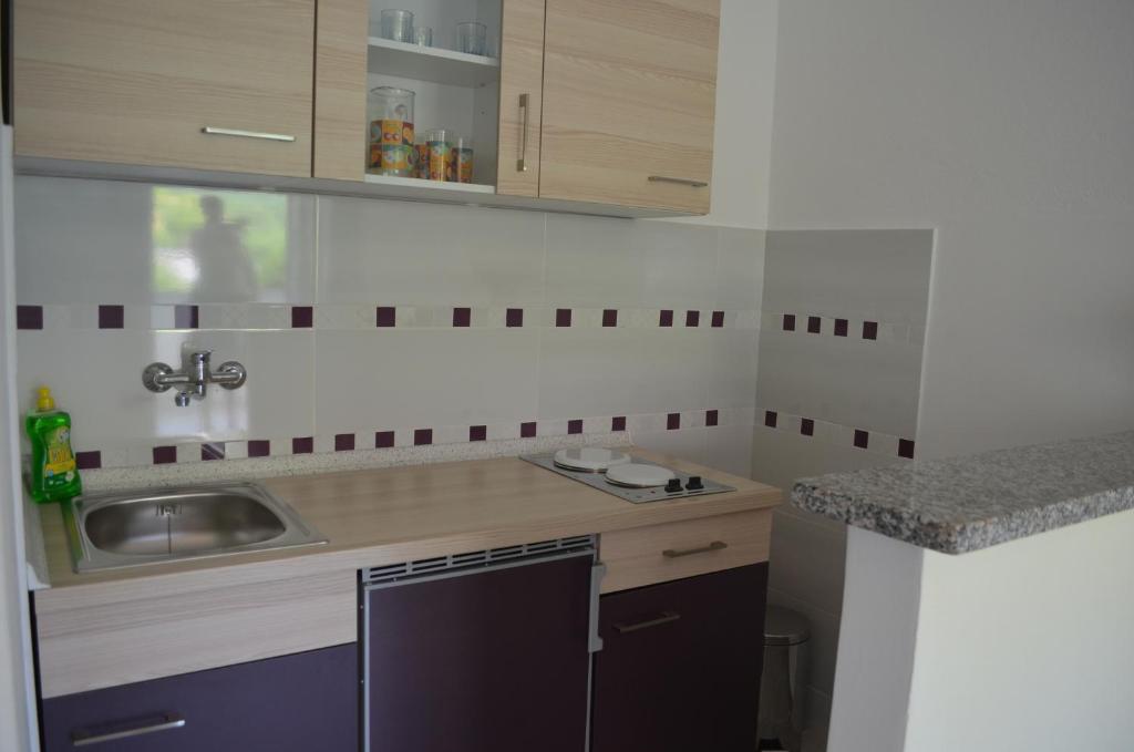 Kuchyň nebo kuchyňský kout v ubytování Apartments Alen