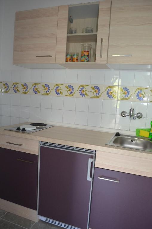 Kuchyň nebo kuchyňský kout v ubytování Apartments Alen