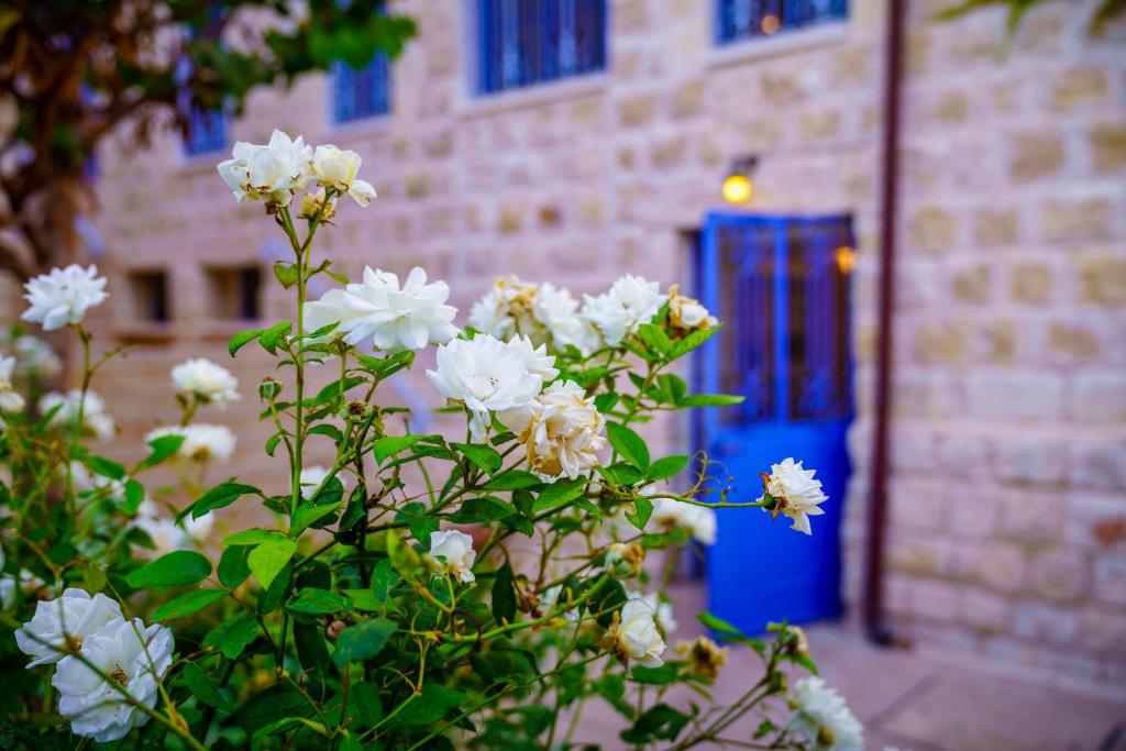 Zahrada ubytování The Way Inn - Boutique Suites