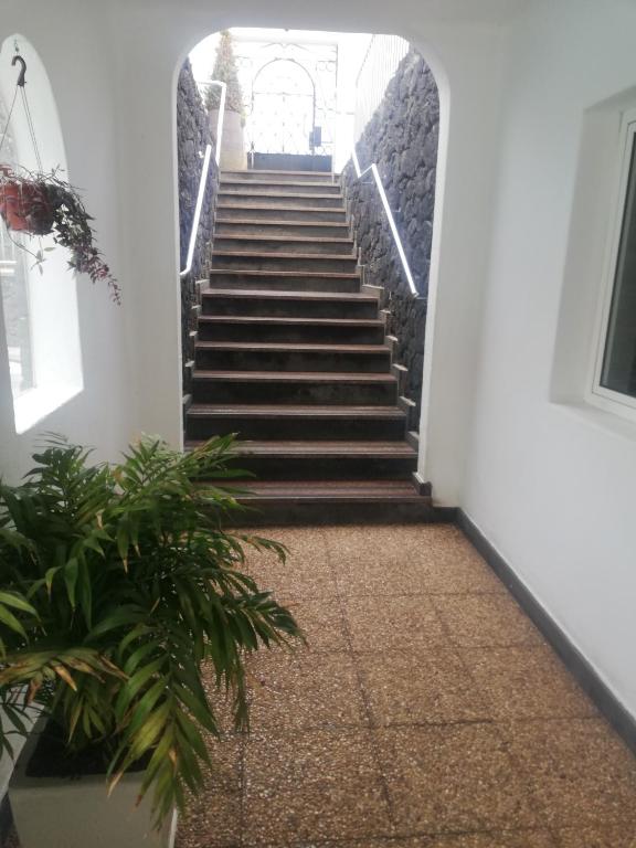 Fotografia z galérie ubytovania Apartamentos Acuario Sol v destinácii Puerto del Carmen