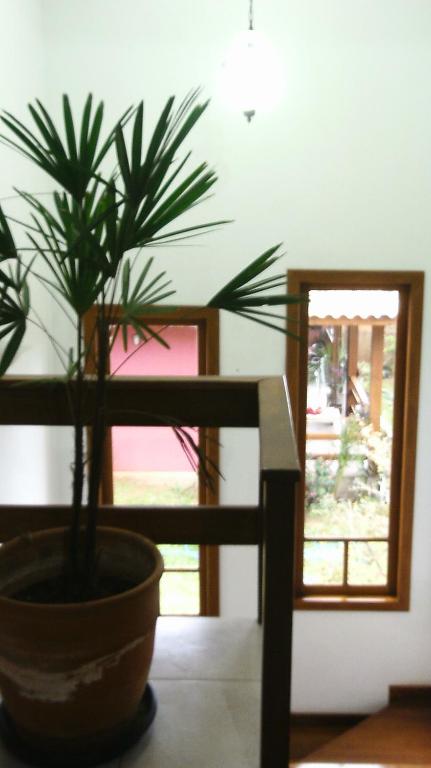  Didi's Guest House - Campeche