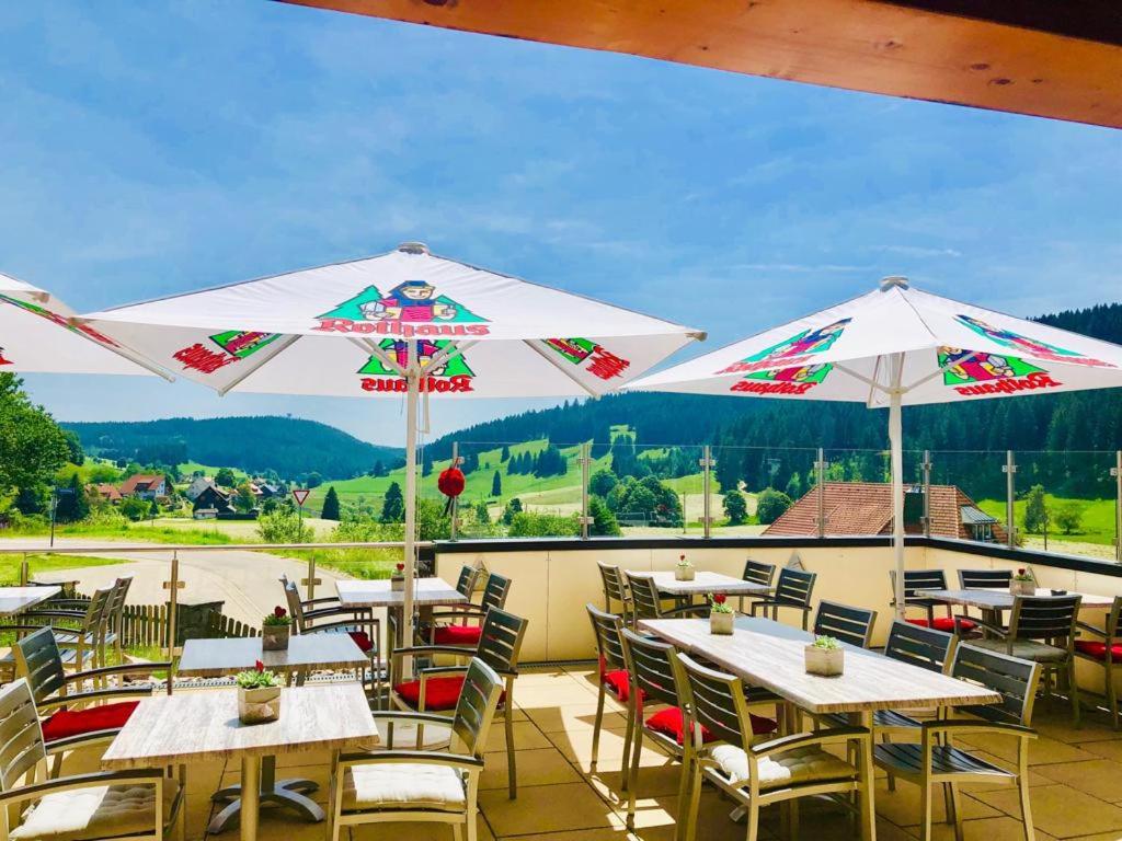 Příroda nedaleko hotelu