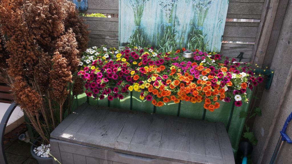 un montón de flores de colores en una caja de flores en Amsterdam Roof Terrace B&B en Ámsterdam