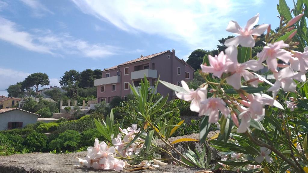 uma casa numa colina com flores cor-de-rosa no primeiro plano em Amaryllis residence, apartment Diana & Deluxe rooms with shared kitchen em Veli Lošinj
