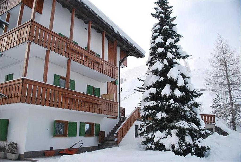 un árbol de Navidad cubierto de nieve frente a un edificio en Appartamento trilocale nr. 5, en Livinallongo del Col di Lana