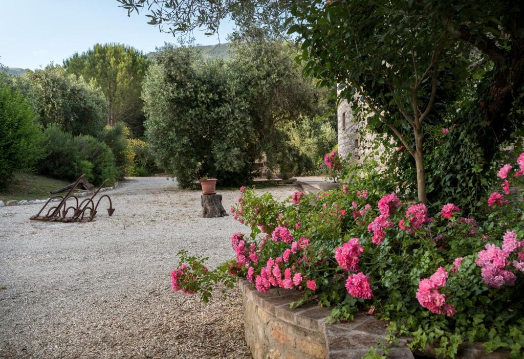 Ogród w obiekcie Agriturismo Il Giardino Dei Ciliegi