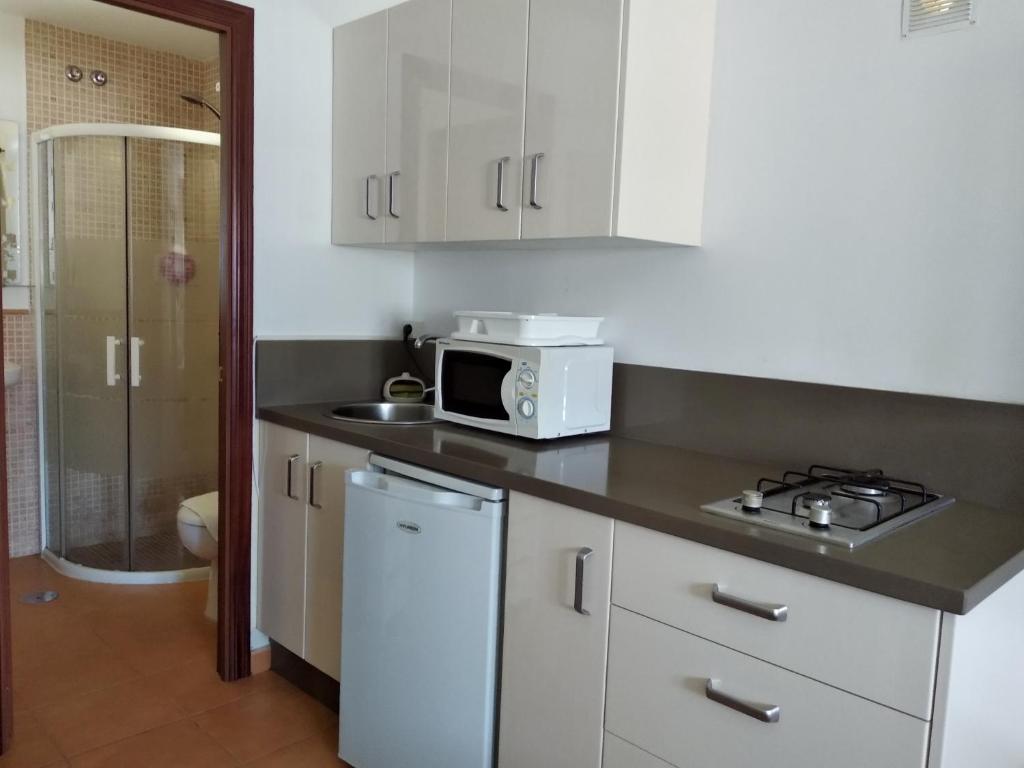 Kuchyň nebo kuchyňský kout v ubytování Coqueto estudio con acceso a piscina