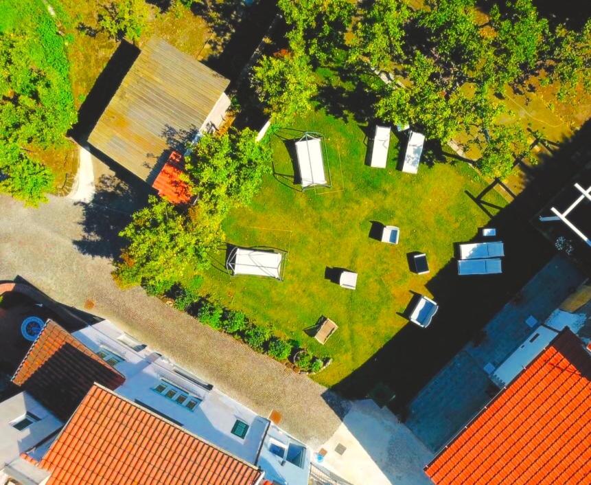 Lemon Factor Sorrento - 15