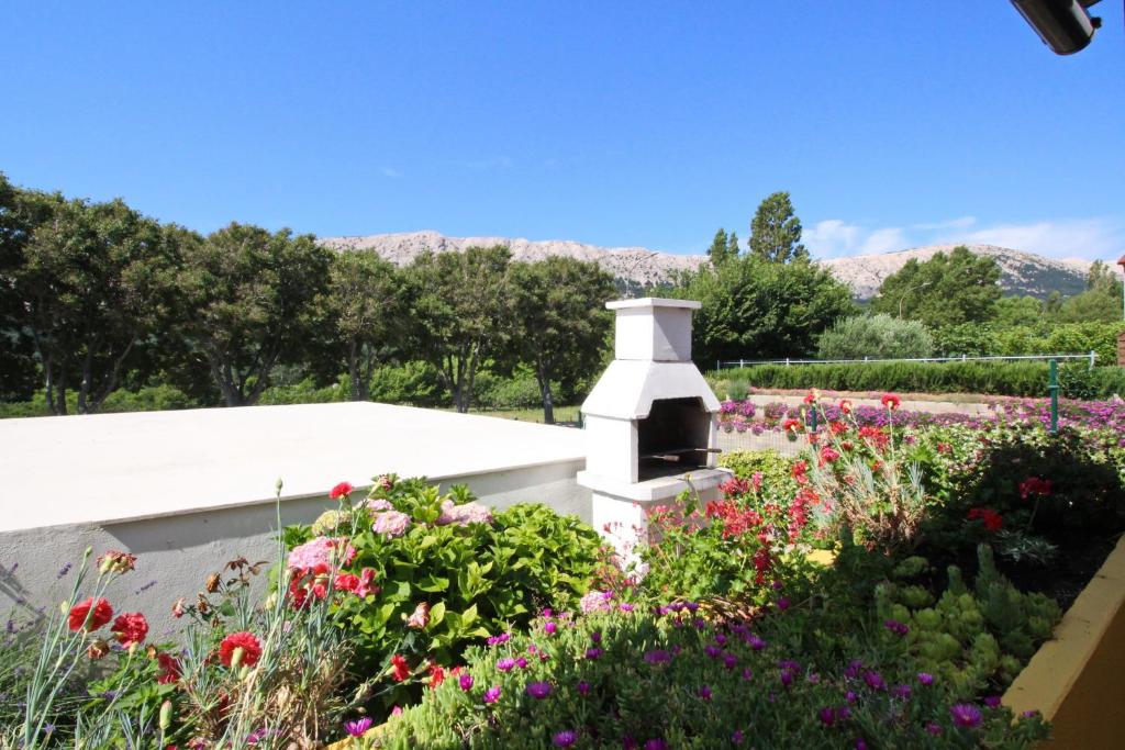 Zdjęcie z galerii obiektu Apartments Grozdana - Pescivica w Bašce