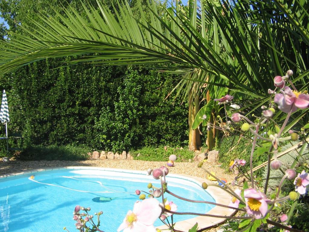 une piscine dans un jardin avec quelques fleurs dans l'établissement Chambres d'Hôtes Béziers, à Béziers