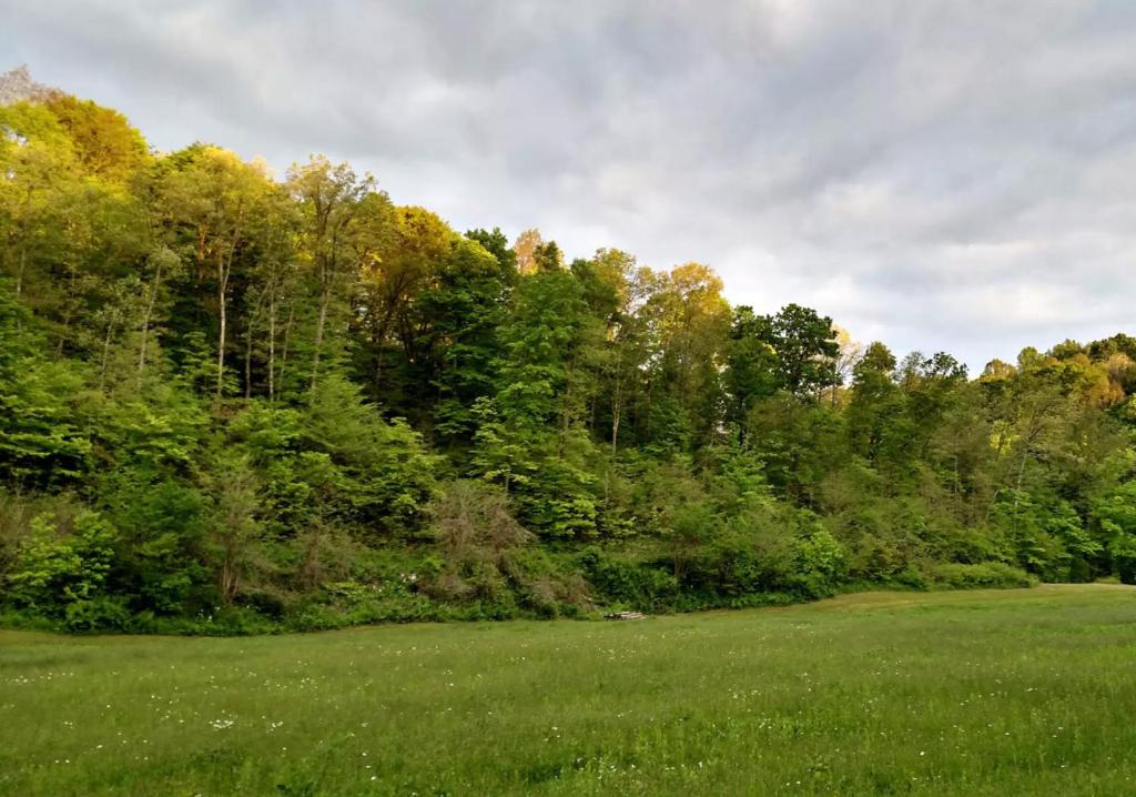 Altenbrauch Farm - Camping in the Hocking Hills photo