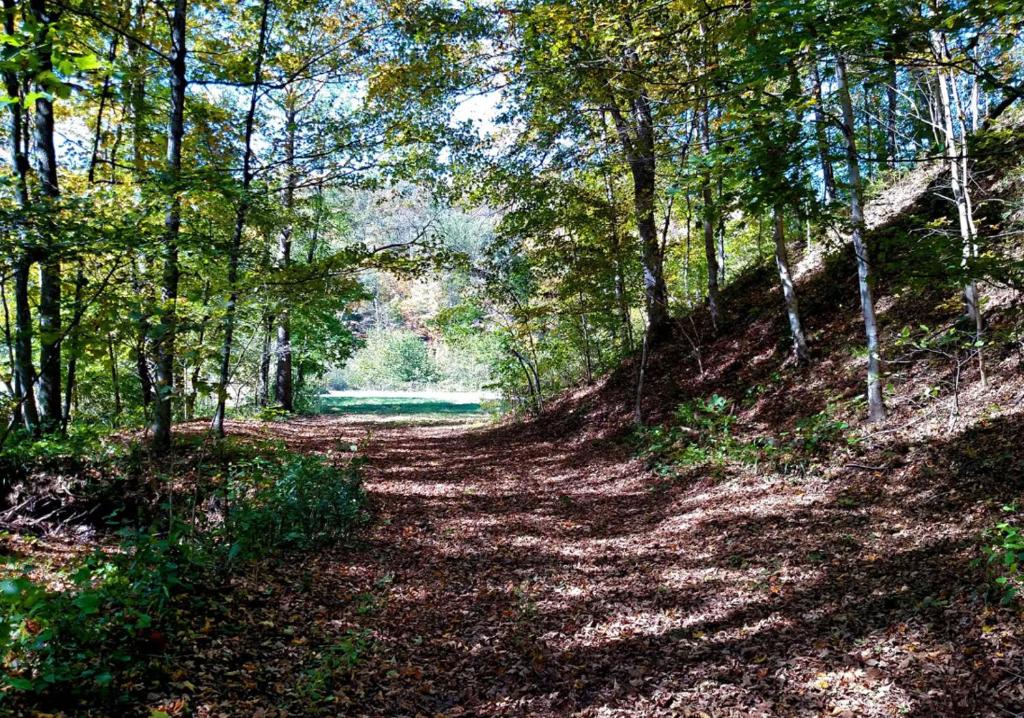 Altenbrauch Farm - Camping in the Hocking Hills photo