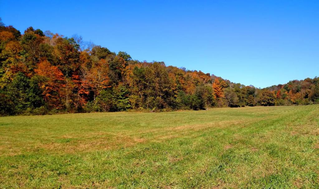 Altenbrauch Farm - Camping in the Hocking Hills photo