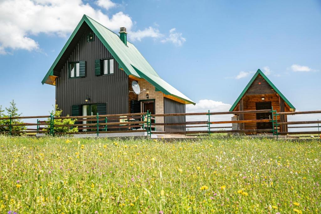 毛茛的住宿－Guest house Holiday，一座黑色房子,在田野上设有绿色屋顶