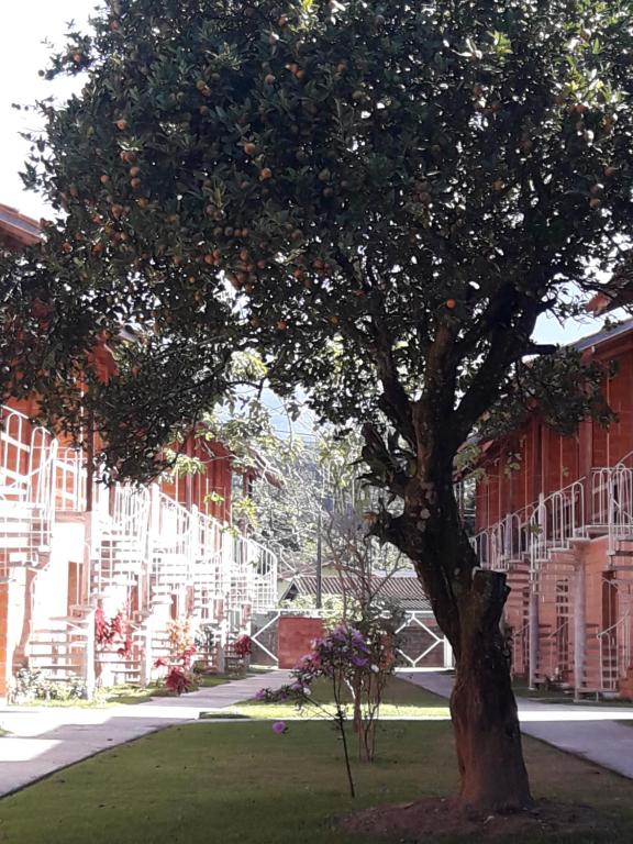  Apartamento em Ubatuba Ville II