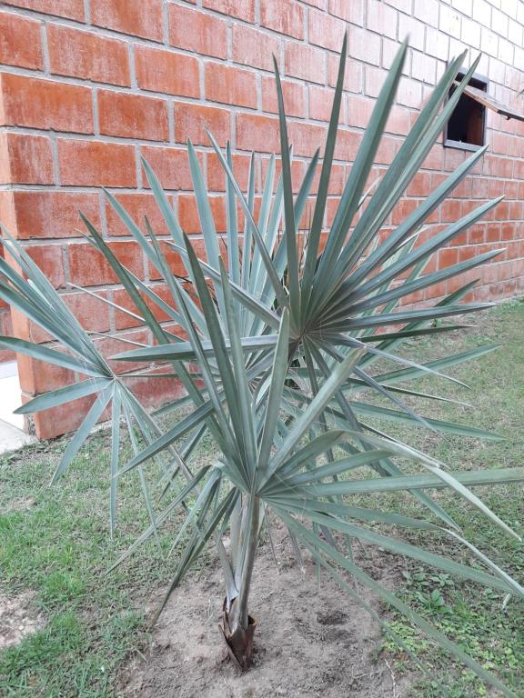  Apartamento em Ubatuba Ville II