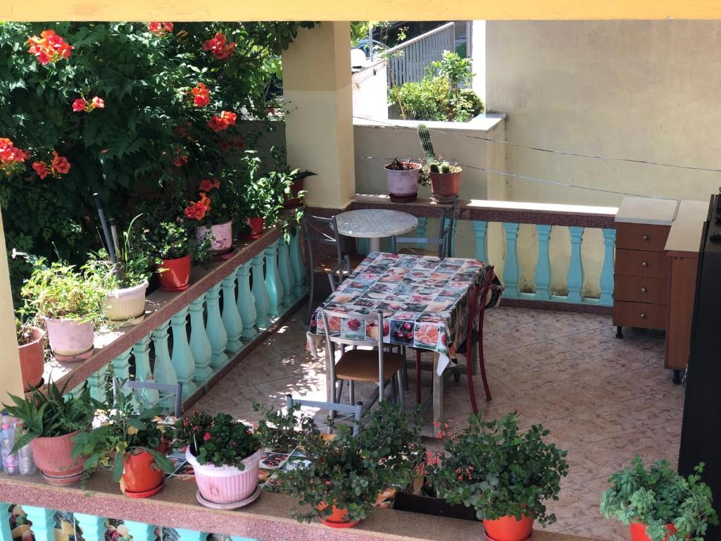 Guest House MURATI - Image 4