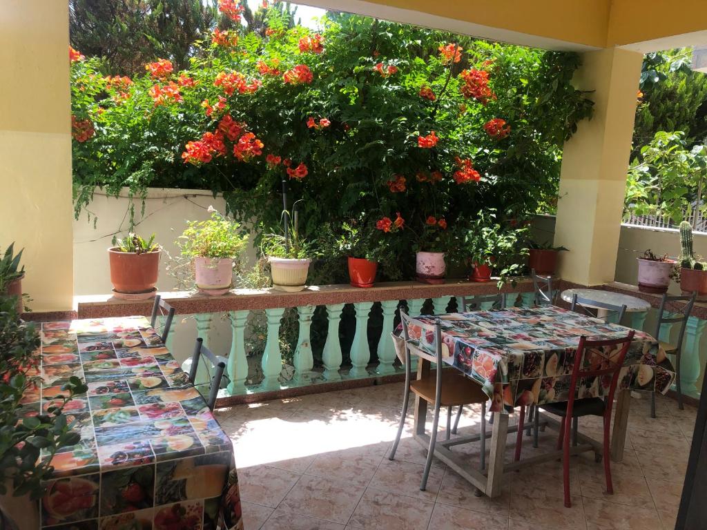 Zahrada ubytování Guest House MURATI