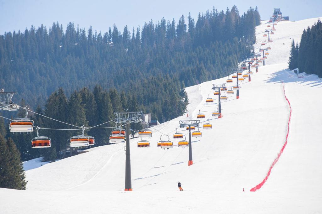 Lyžovanie pri dovolenkovom dome alebo v okolí