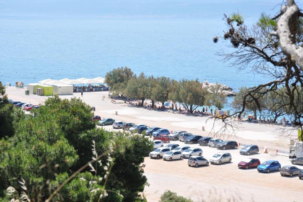 Príroda v okolí apartmánu