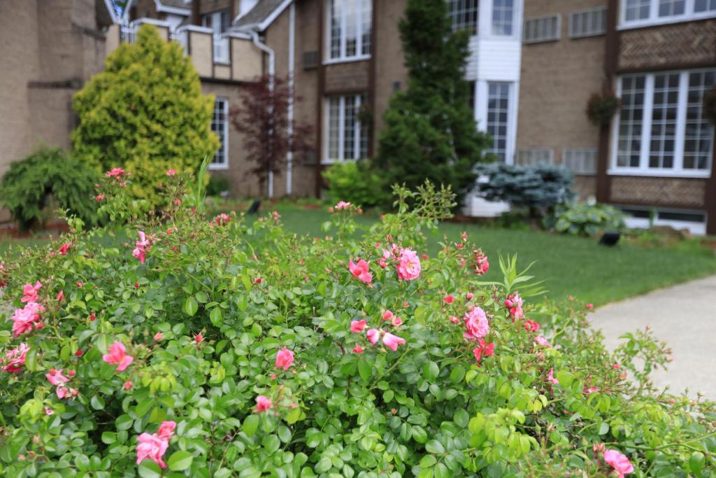 Fullerton Manor Inn - Resim 23