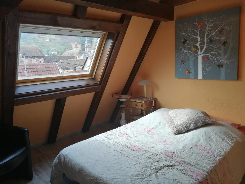 Gîte Les papillons – photo 34
