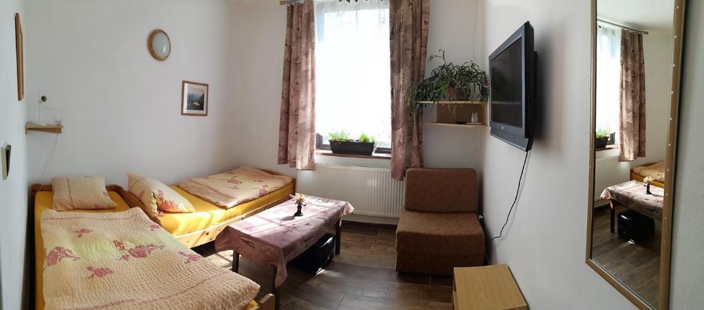 salon z łóżkiem i oknem w obiekcie Penzion Bližanovy w mieście Plánice
