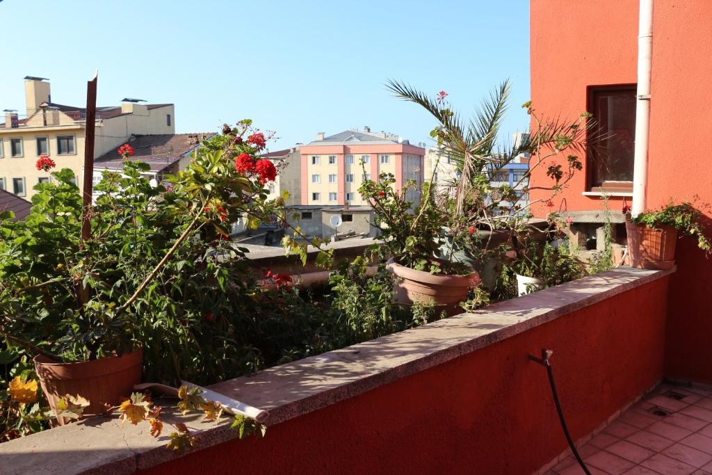 The building in which the homestay is located