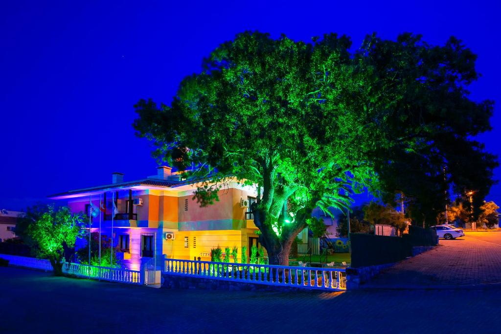 a house with a tree in front of it at night at Kabasakal Otel in Çeşme