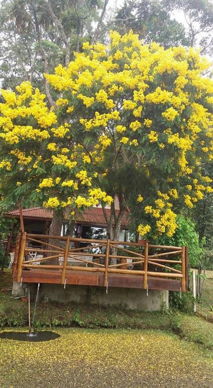 Casa na Floresta em Campos do Jordao
