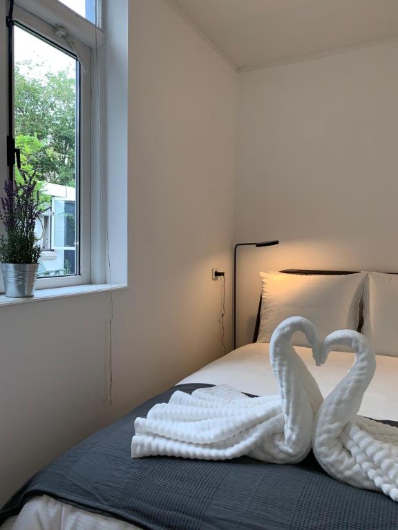 two swans making a heart on a bed at New City Garden view 5min TU Delft central room bentley utopia in Delft