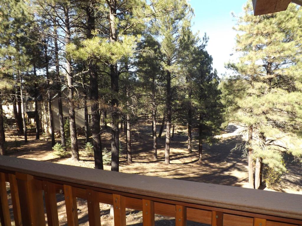 Arizona Mountain Inn & Cabins - 16号客舱