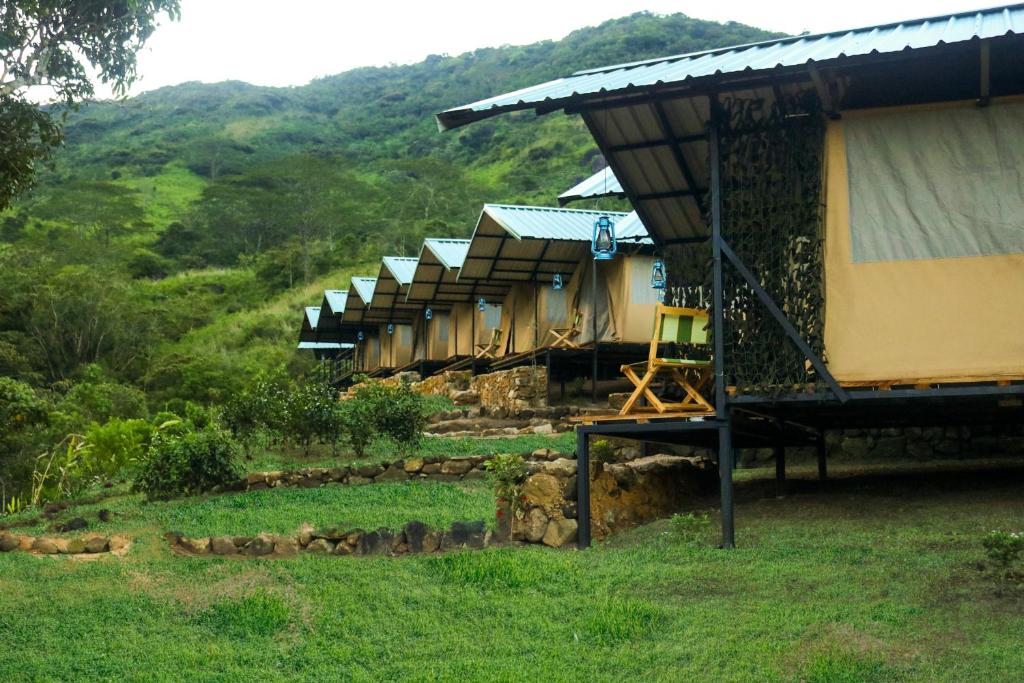Příroda nedaleko luxury tent