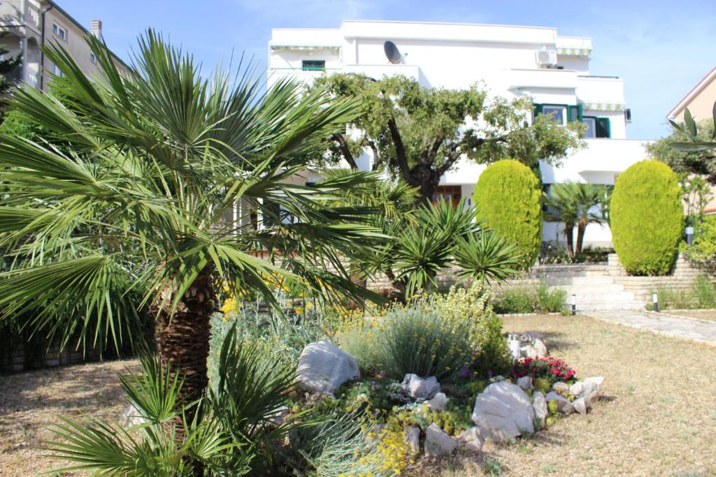 a palm tree in the middle of a garden at Apartments Culjak in Rab