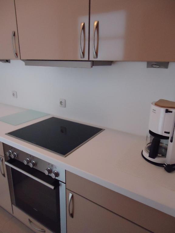Kuchyň nebo kuchyňský kout v ubytování BTT Serviced Apartments