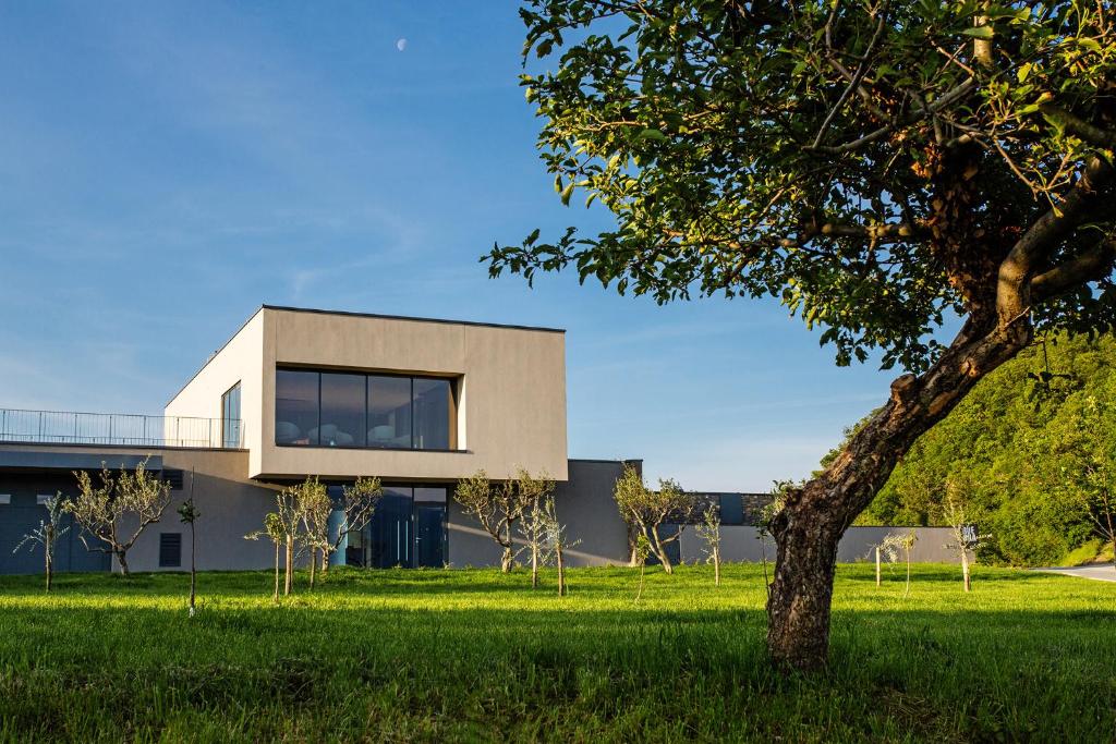 a house in a field with a tree at Apartmaji Guerila in Ajdovščina