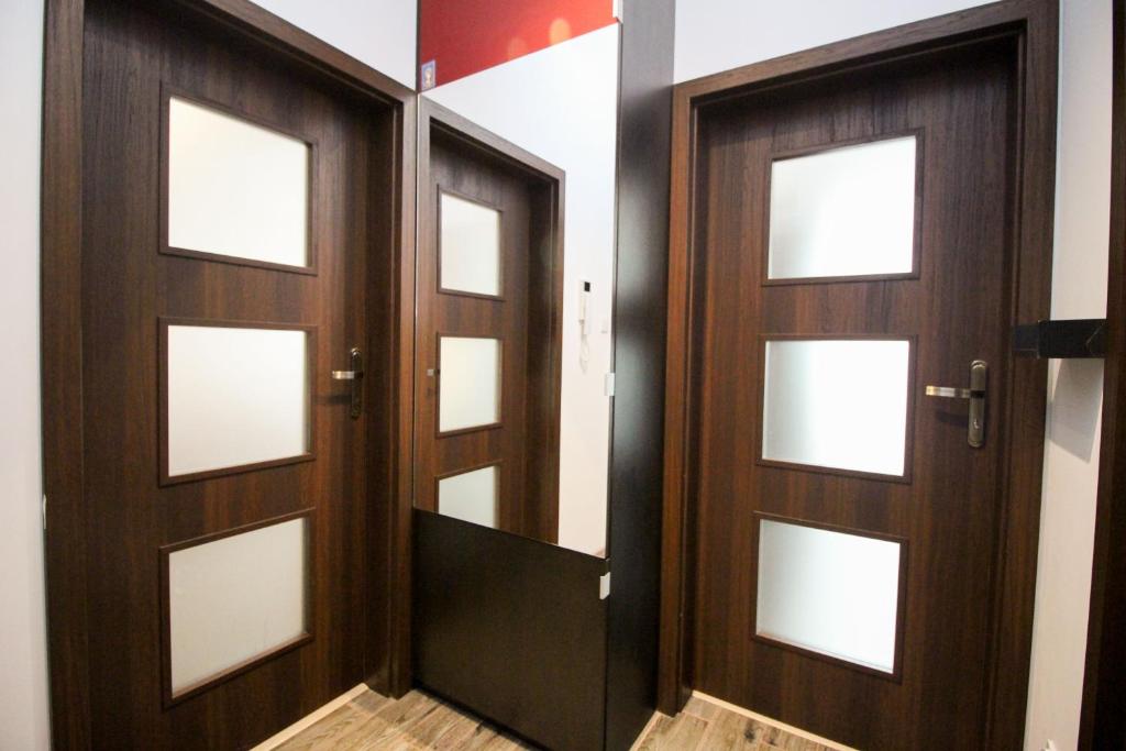 Zdjęcie z galerii obiektu Apartament Lublin Stare Miasto "Wild Cat" w mieście Lublin