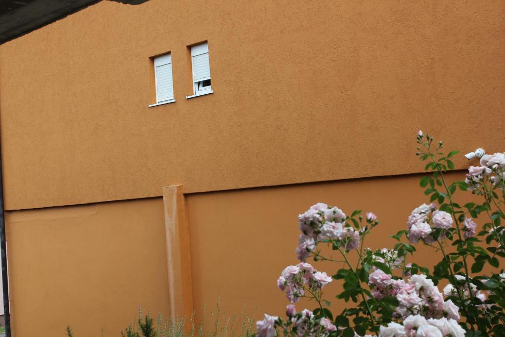 Apartments Kapisoda - 9