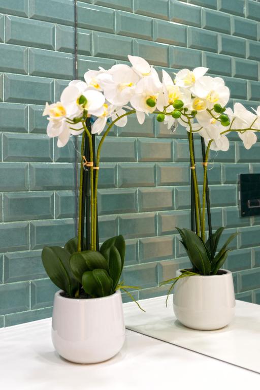 Bela Vista Palace Apartments - 18