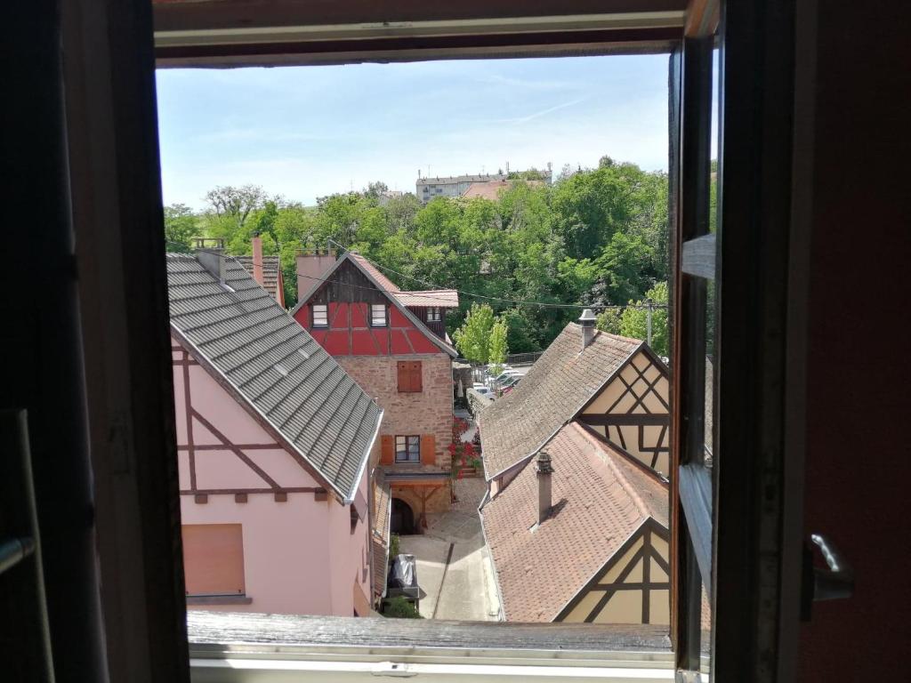 Gîte Les papillons – photo 32