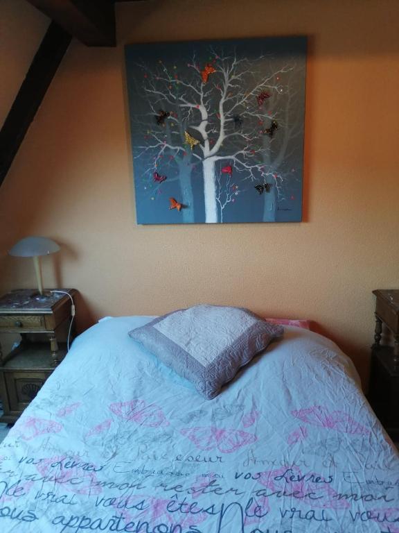 Gîte Les papillons – photo 35