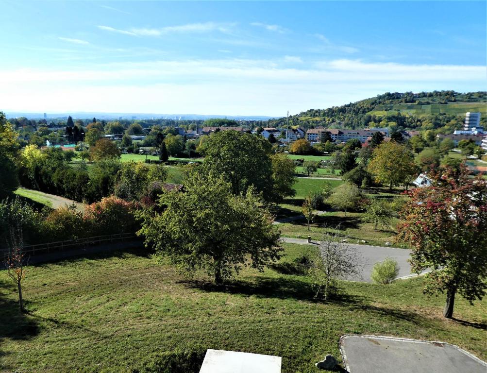 a view of a park with trees and a river at Baselblick in Lörrach