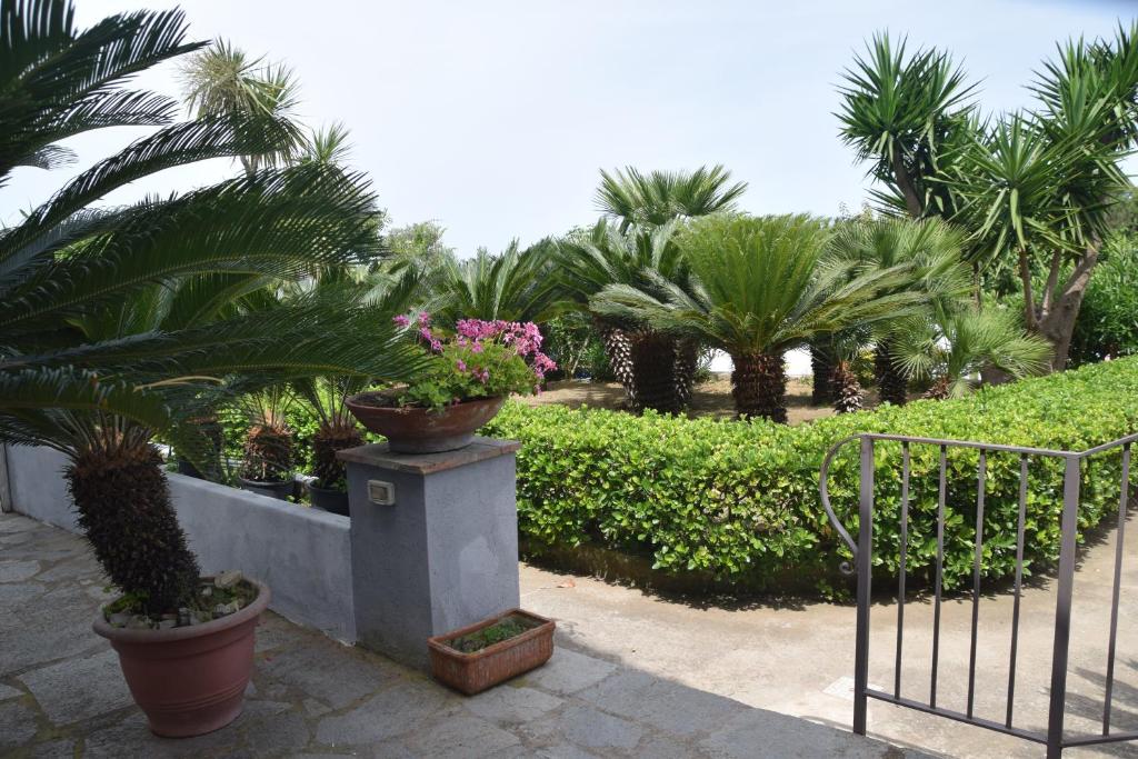 Zahrada ubytování Oasi di Villa Damecuta
