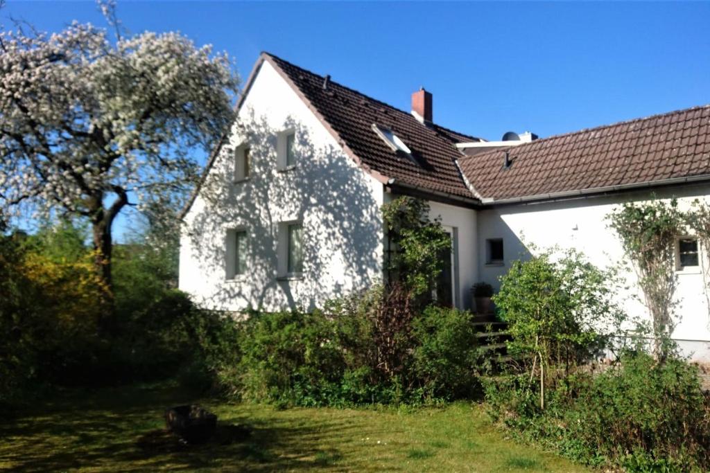 an old white house with a tree in the yard at Sonniges Häuschen mit Garten in Braunschweig