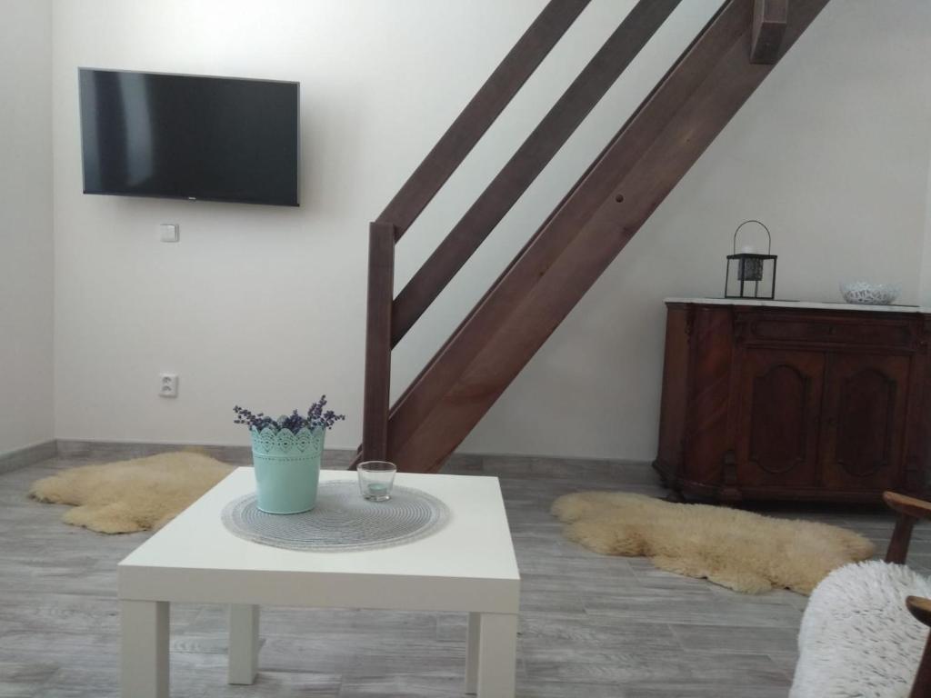TV a/nebo společenská místnost v ubytování Apartmány U splavu