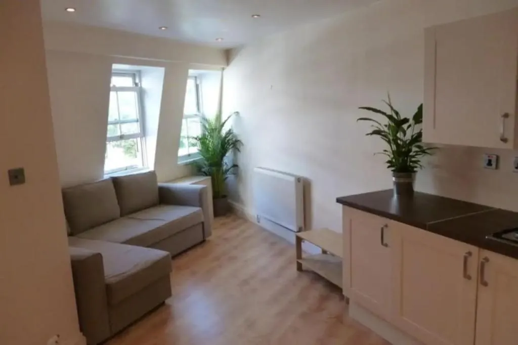 Modern 1 Bedroom Flat With Great Transport Links, Londra, Marea Britanie