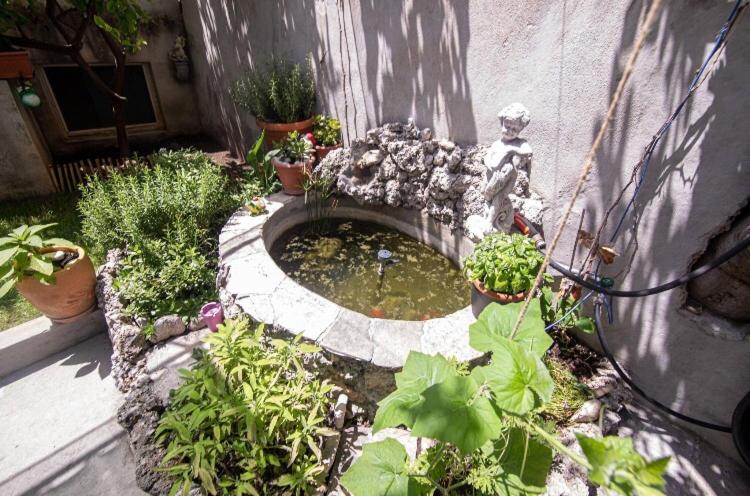 a garden with potted plants and a pond in a yard at Apartmani Marko in Makarska