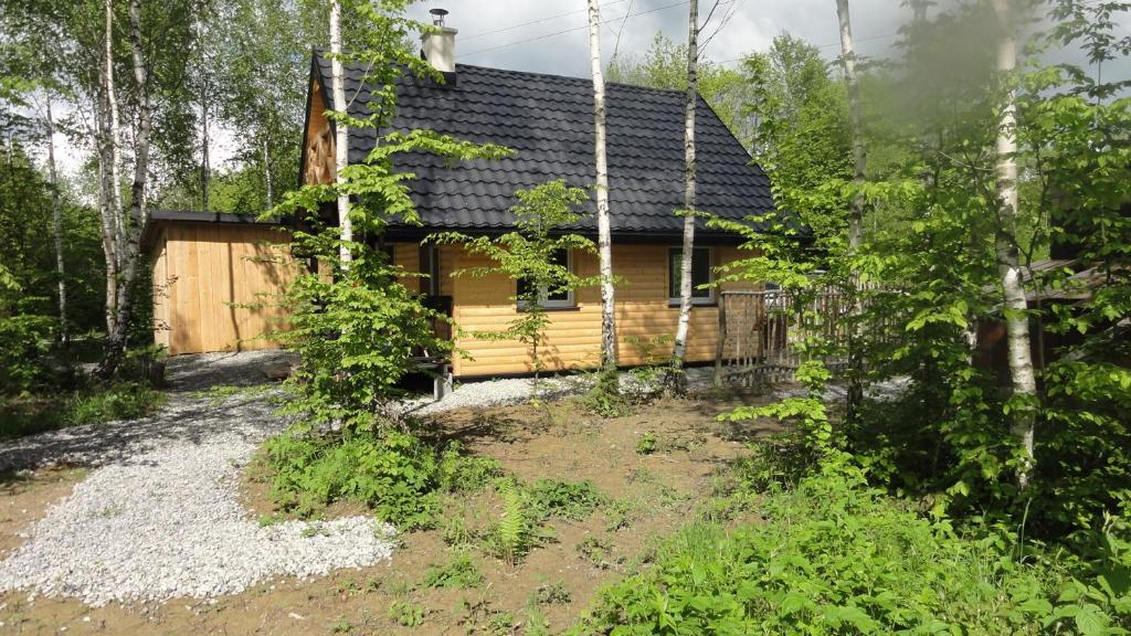 a log cabin in the woods with a yard at Miejsce Mocy in Ustrzyki Dolne