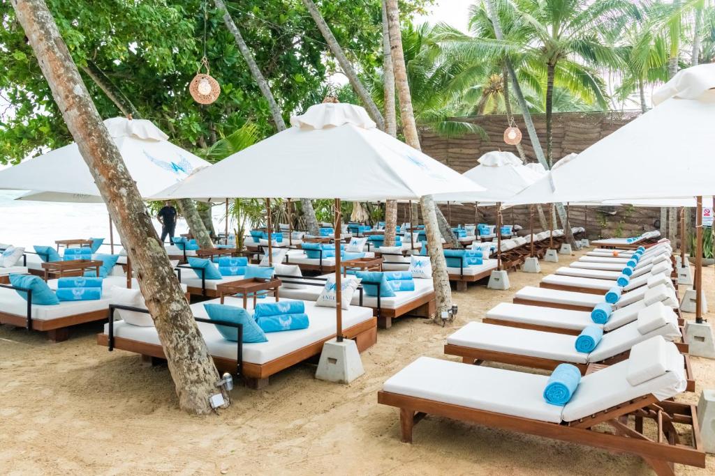 Bazén v ubytování Angel Beach Unawatuna nebo v jeho okolí